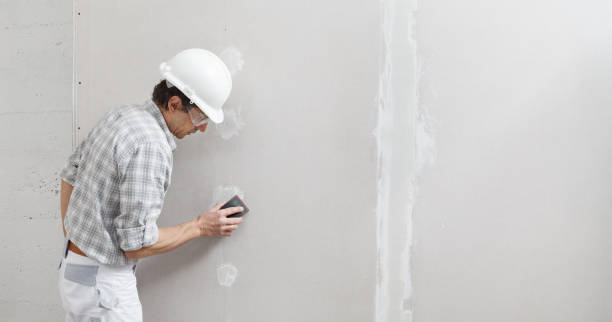 Wallpaper Removal and Painting in Hillsboro, MO