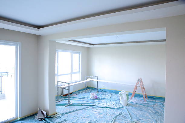 Best Ceiling Drywall Installation  in Hillsboro, MO