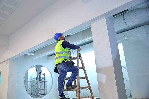 Best Drywall Removal and Disposal  in Hillsboro, MO